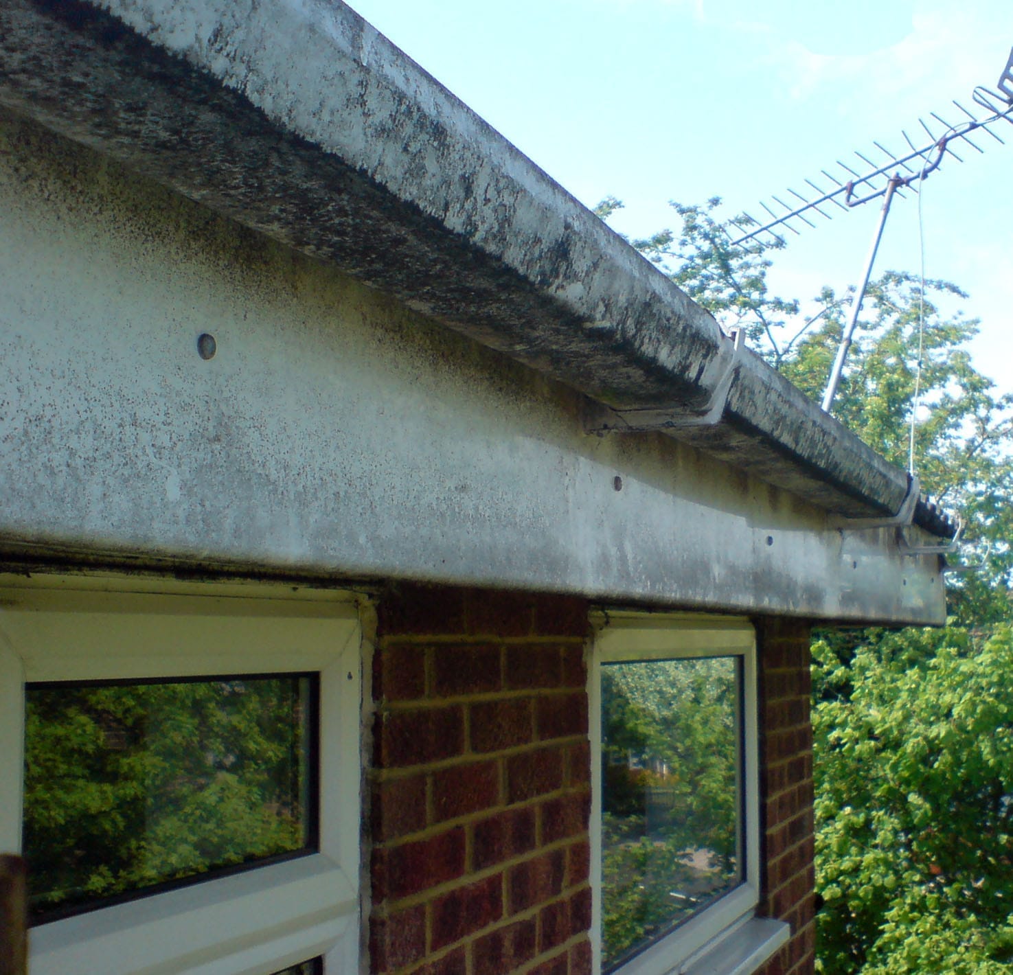 Before Gutter Clean