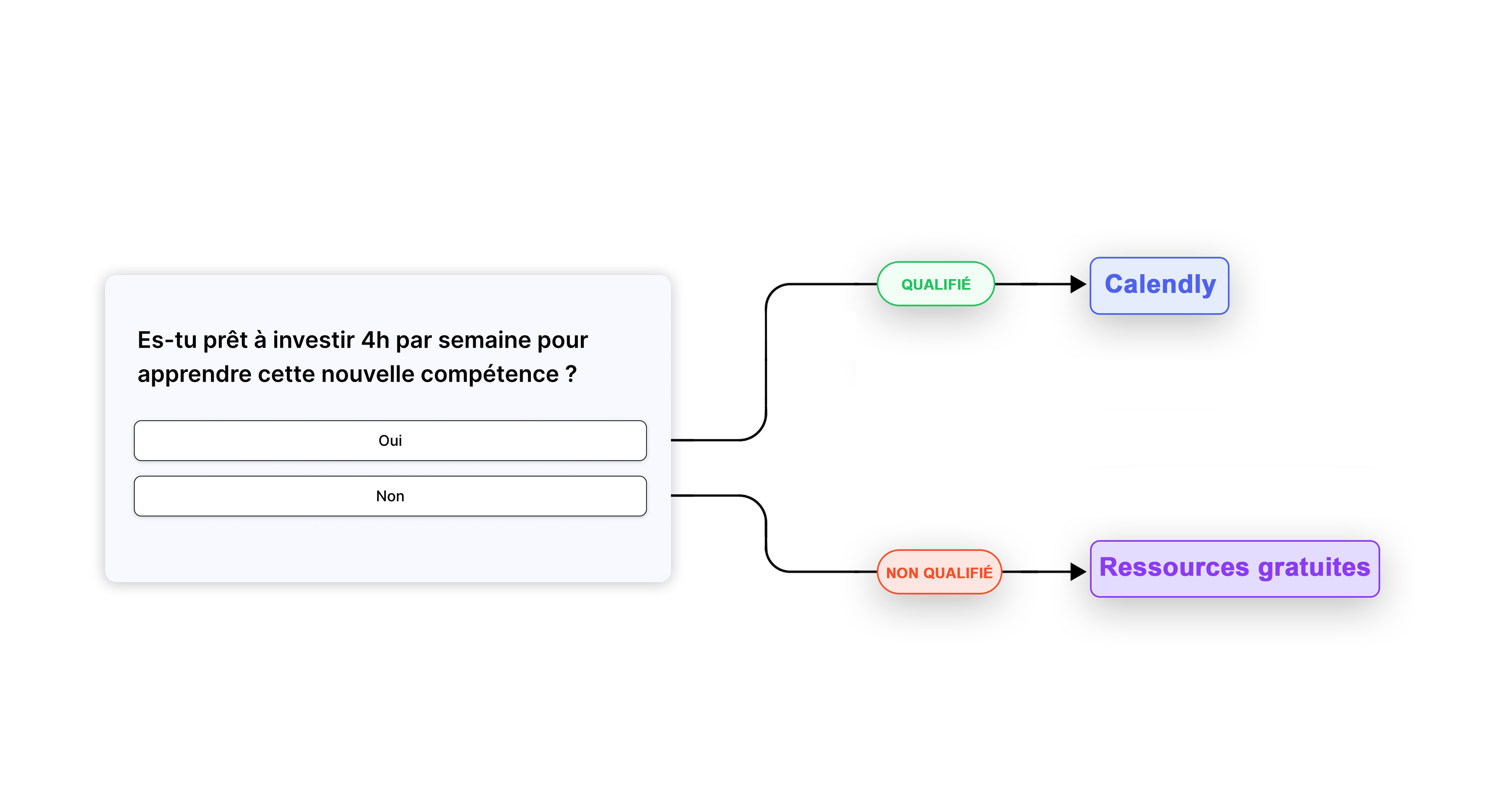 logiciel quiz sondage marketing