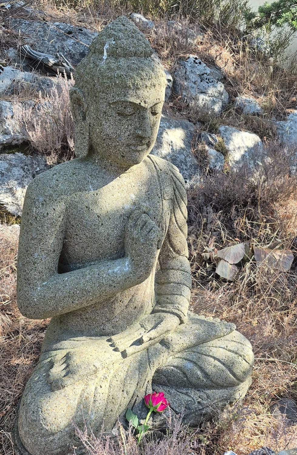 Buddha in meditation
