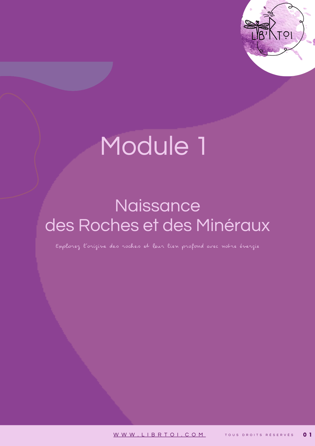 Module 1 &mdash; Naissance des Roches