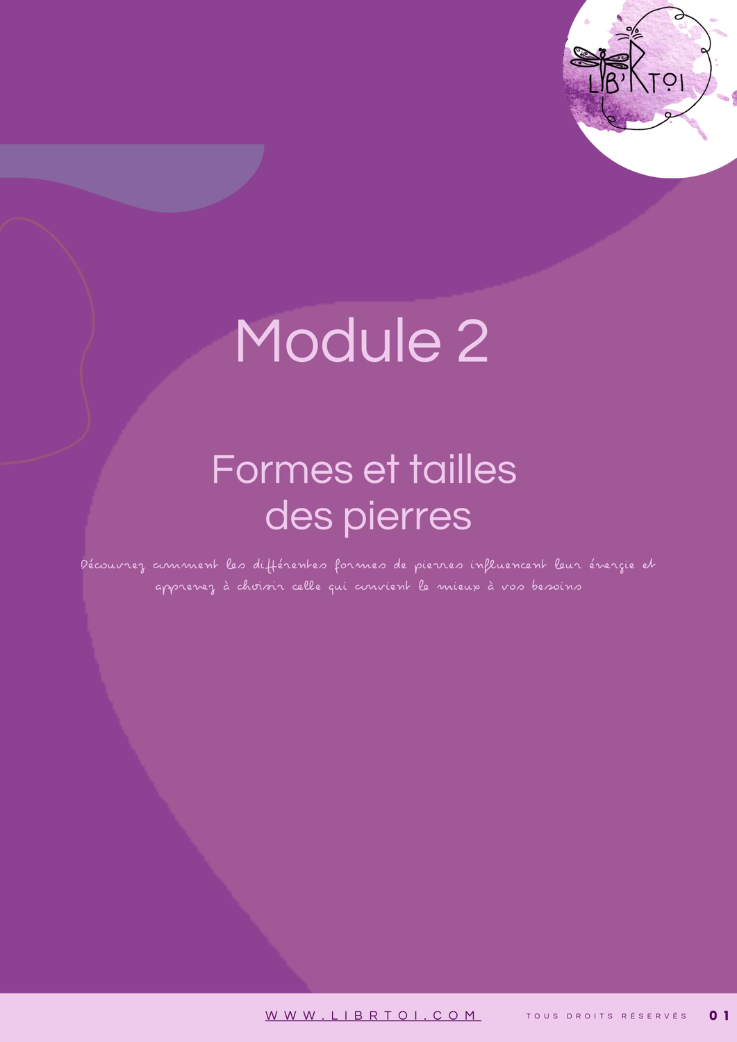Module 2 &mdash; Formes des pierres