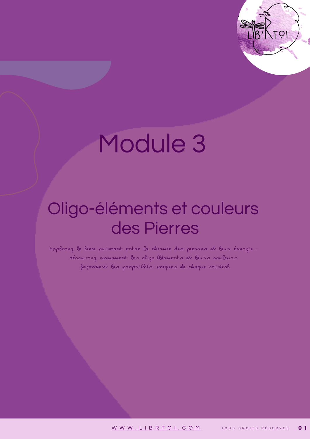 Module 3 &mdash; Oligo-&eacute;l&eacute;ments