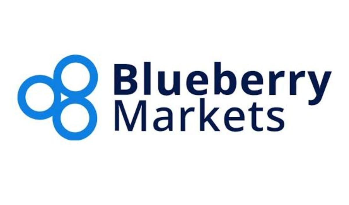 BLUEBERRY MARKETS