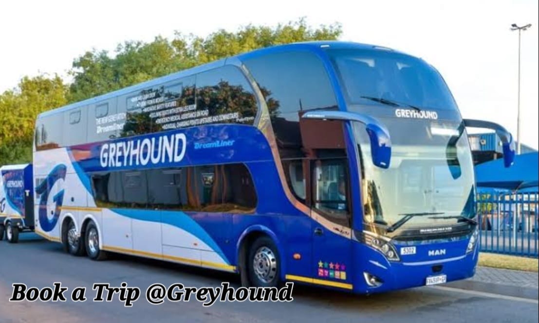 GREYHOUND