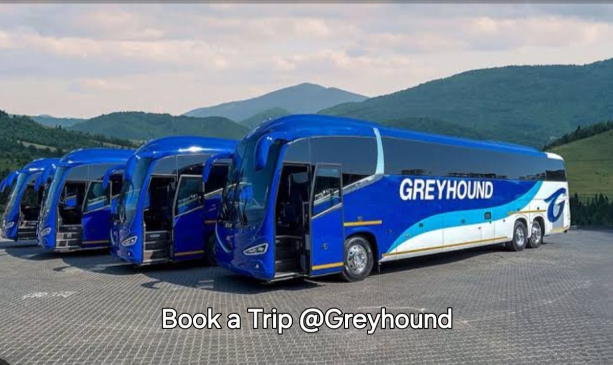  GREYHOUND