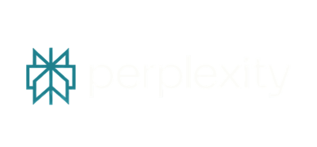 PERPLEXITY LOGO