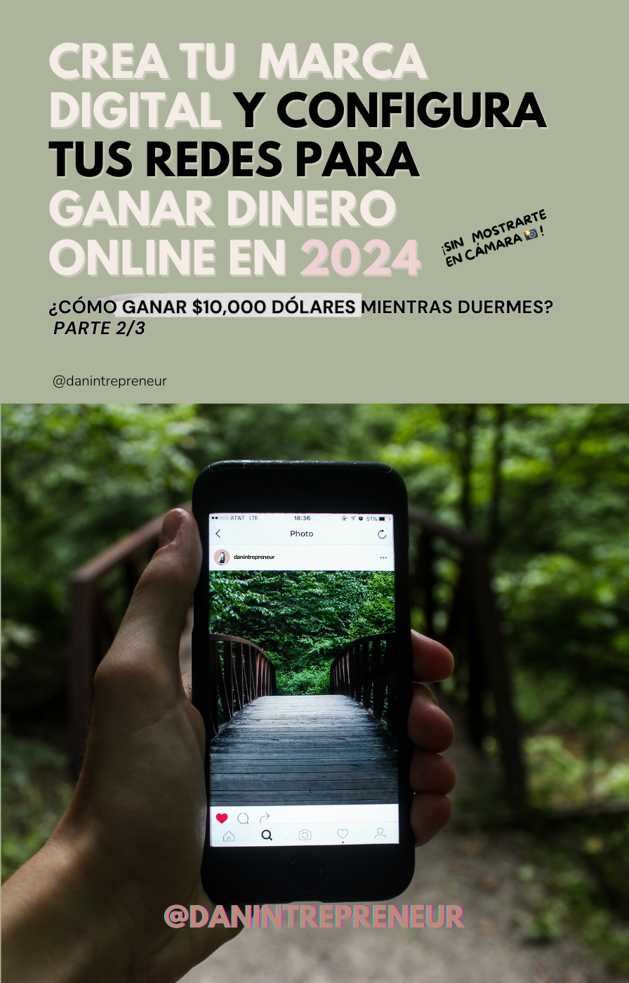 danintrepreneur guia gratis para ganar dinero online 2024