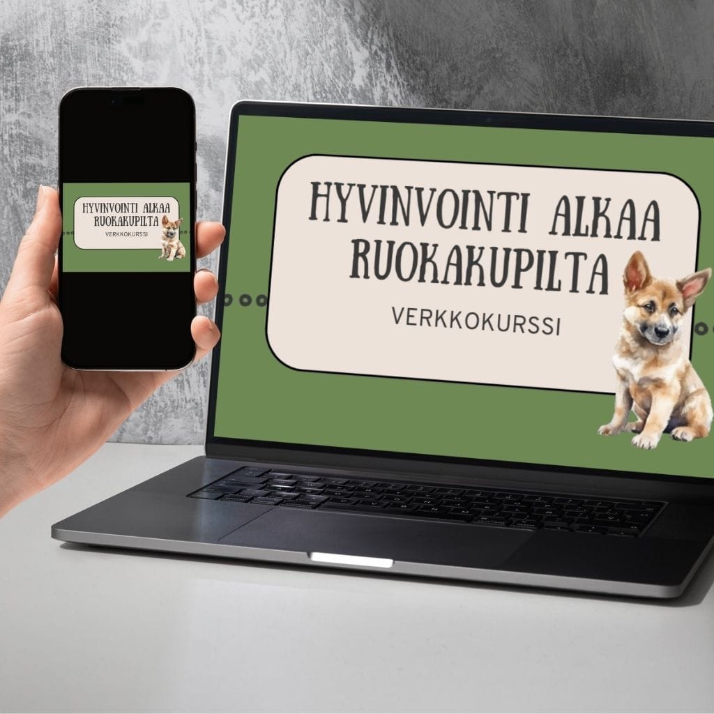 Hyvinvointi alkaa ruokakupilta -verkkokurssi
