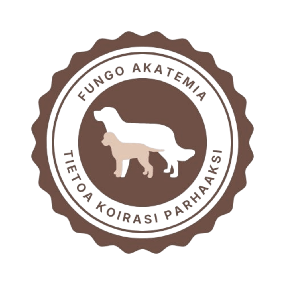 Fungo Akatemia