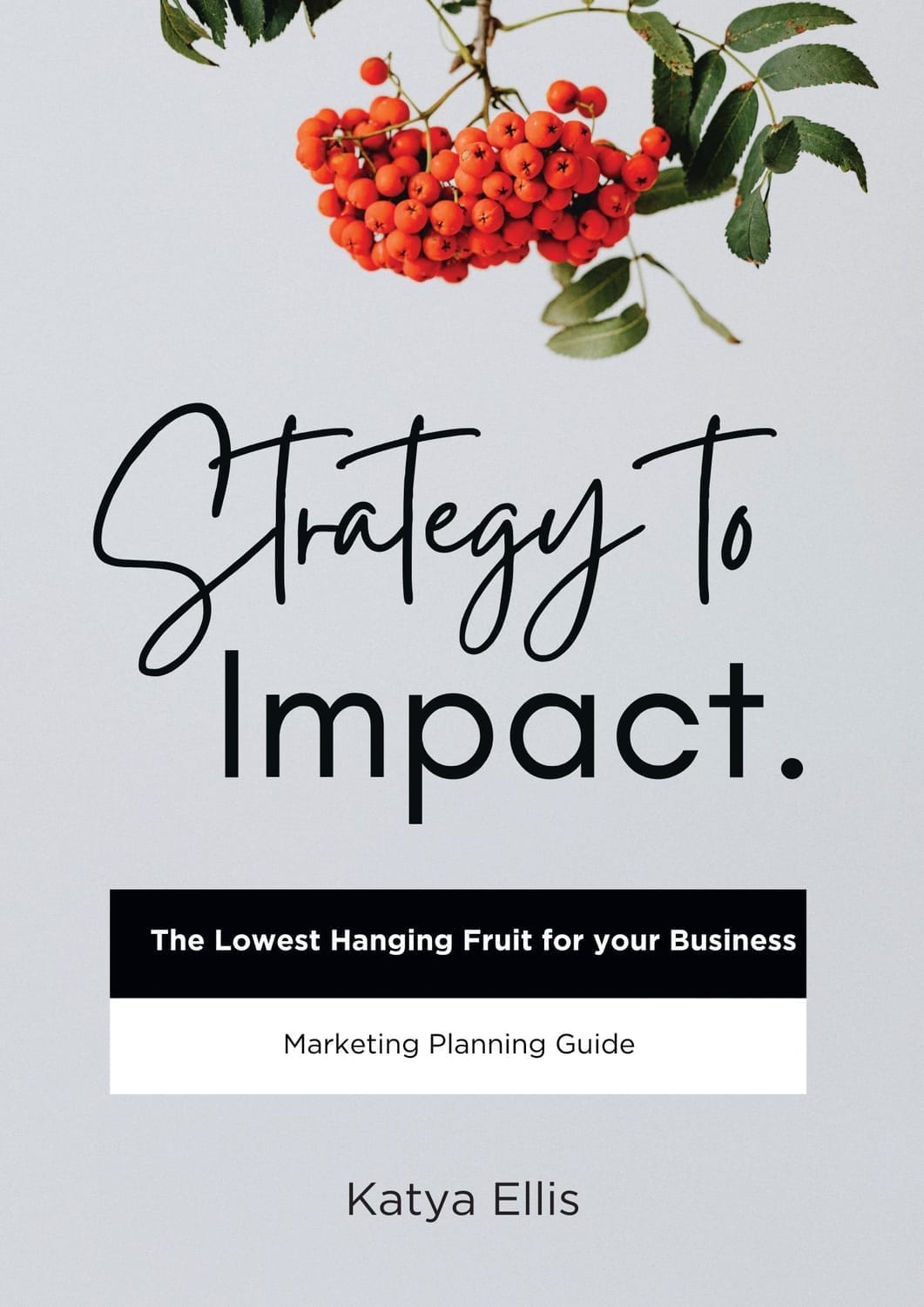 Marketing Planning Guide book cover.