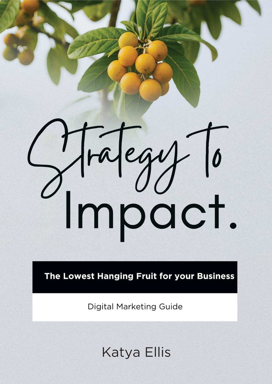Digital Marketing Planning Guide book cover.