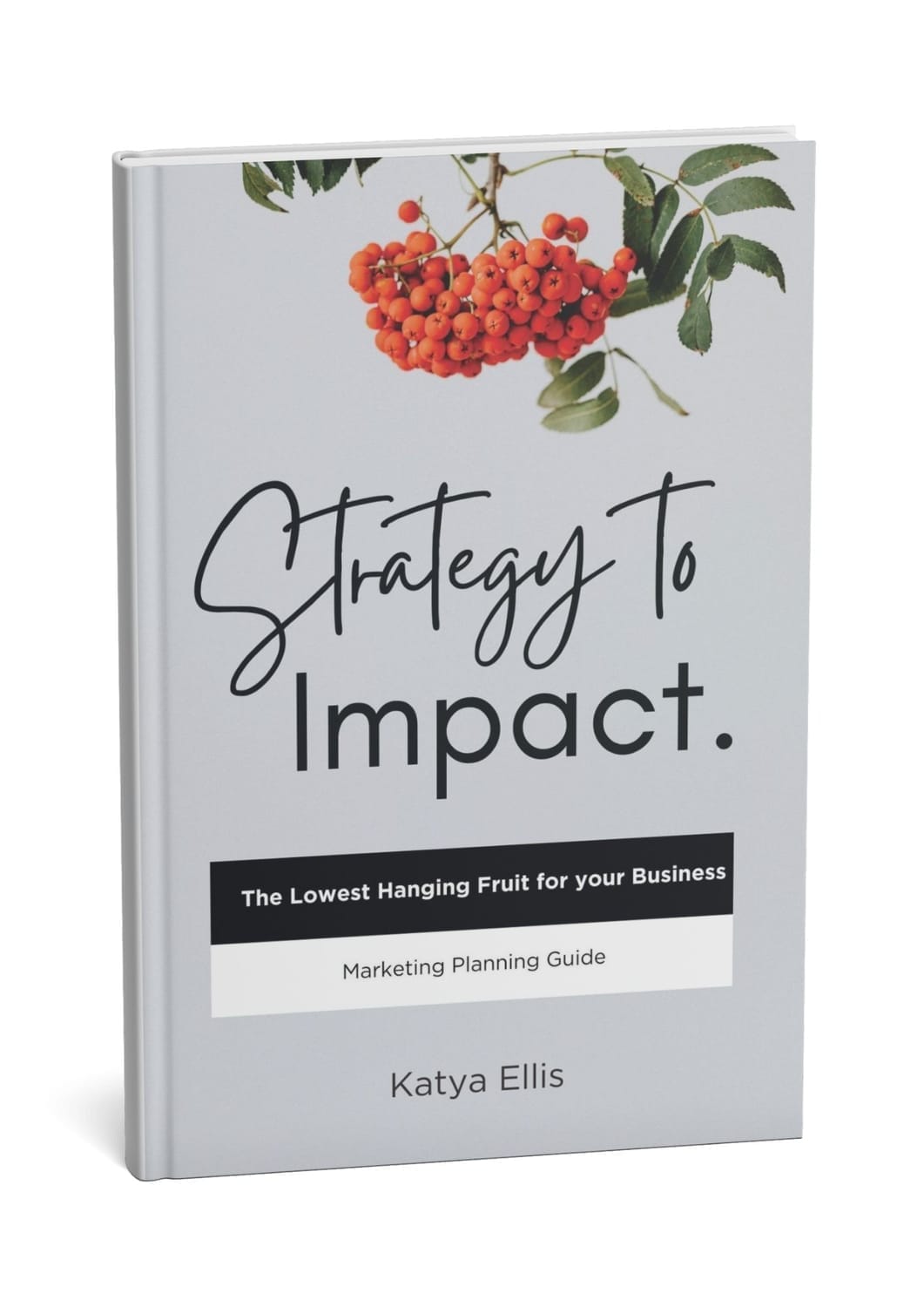 Marketing planning guide book designed to support business growth and strategic marketing planning.