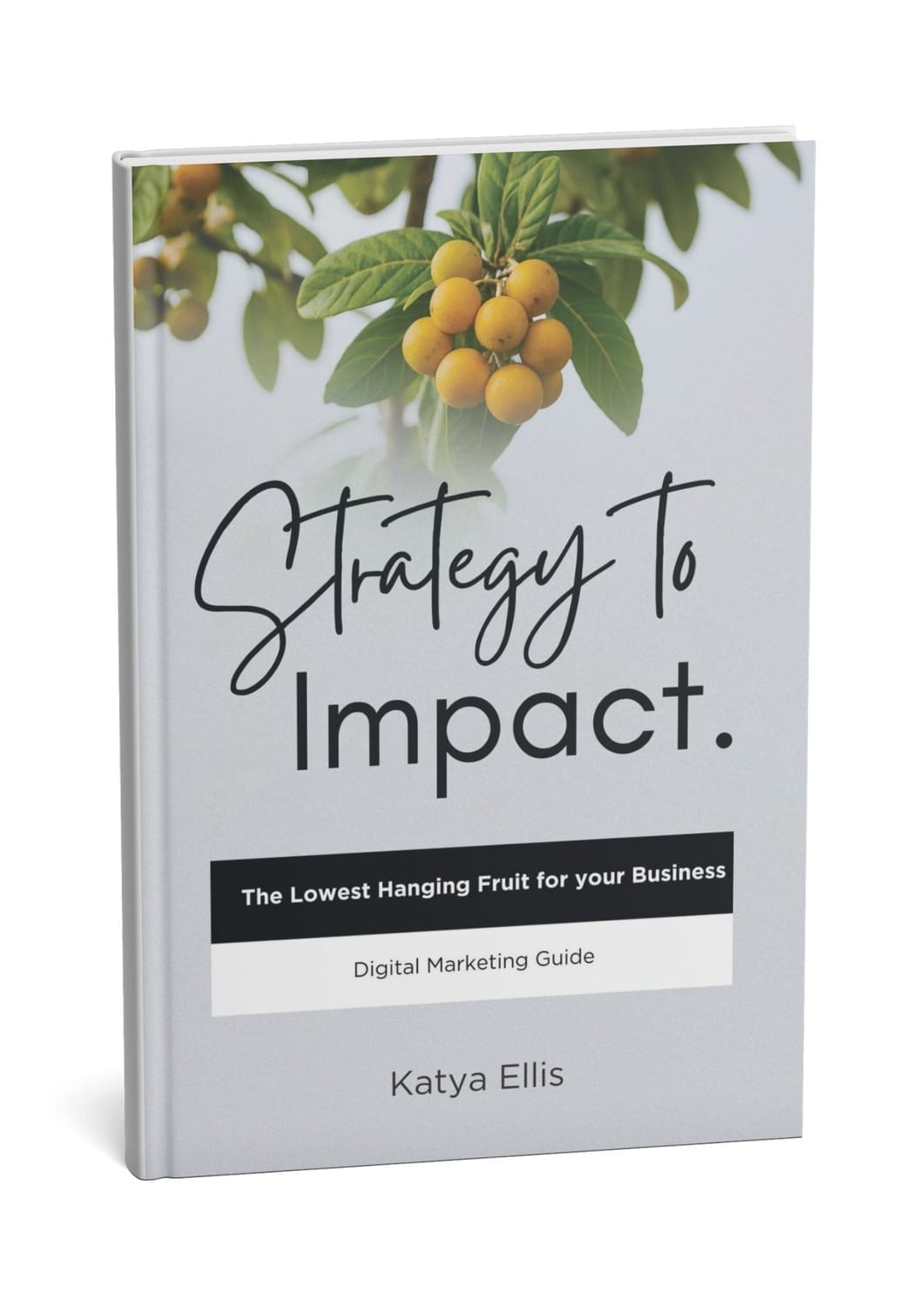 Digital Marketing Guide for entrepreneurs and marketers, featuring strategies, tools, and frameworks for digital marketing success.