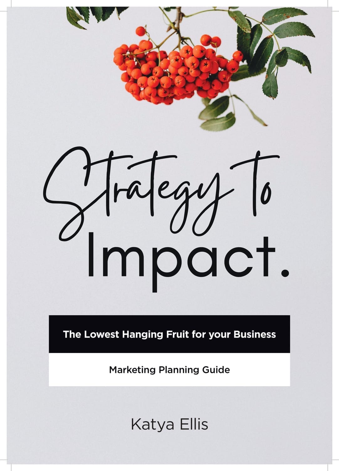 Marketing Planning Guide book cover.
