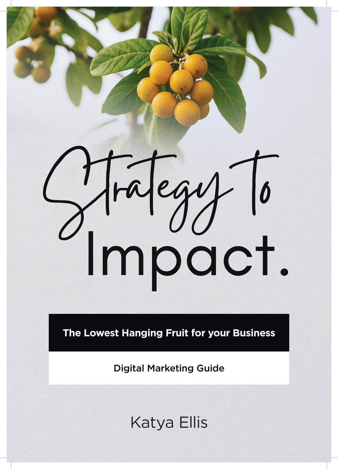 Digital Marketing Planning Guide book cover.