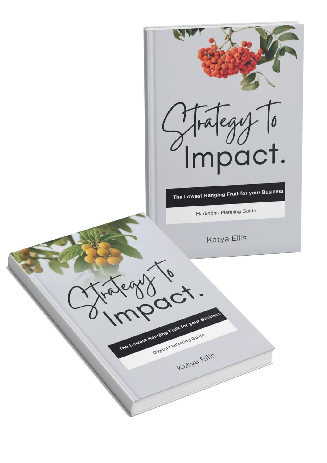 Marketing and digital marketing book cover with a hanging fruit and leaves, symbolizing strategy to impact.