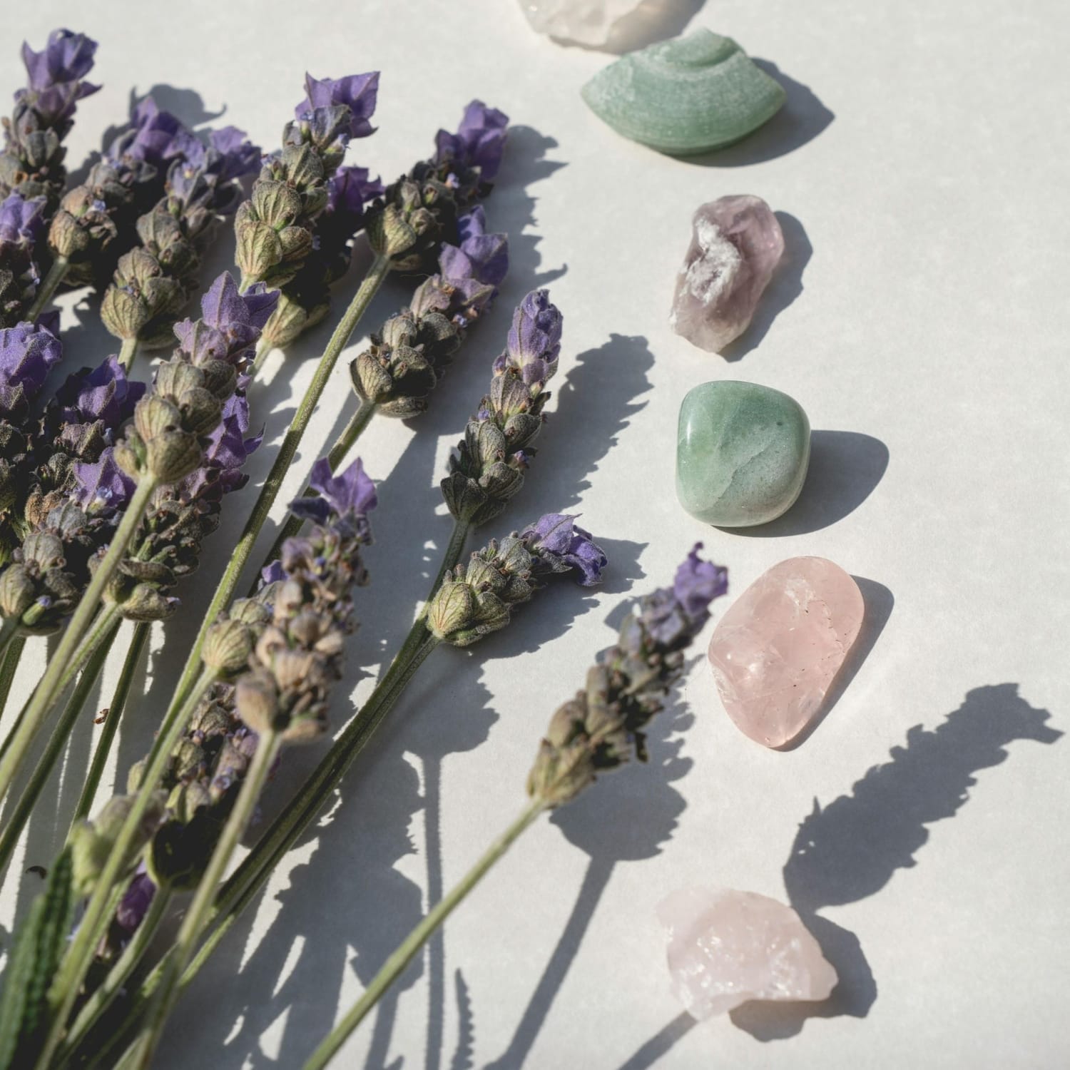 Naturopathie : Dix maux de la maternité / Dix clés naturelles