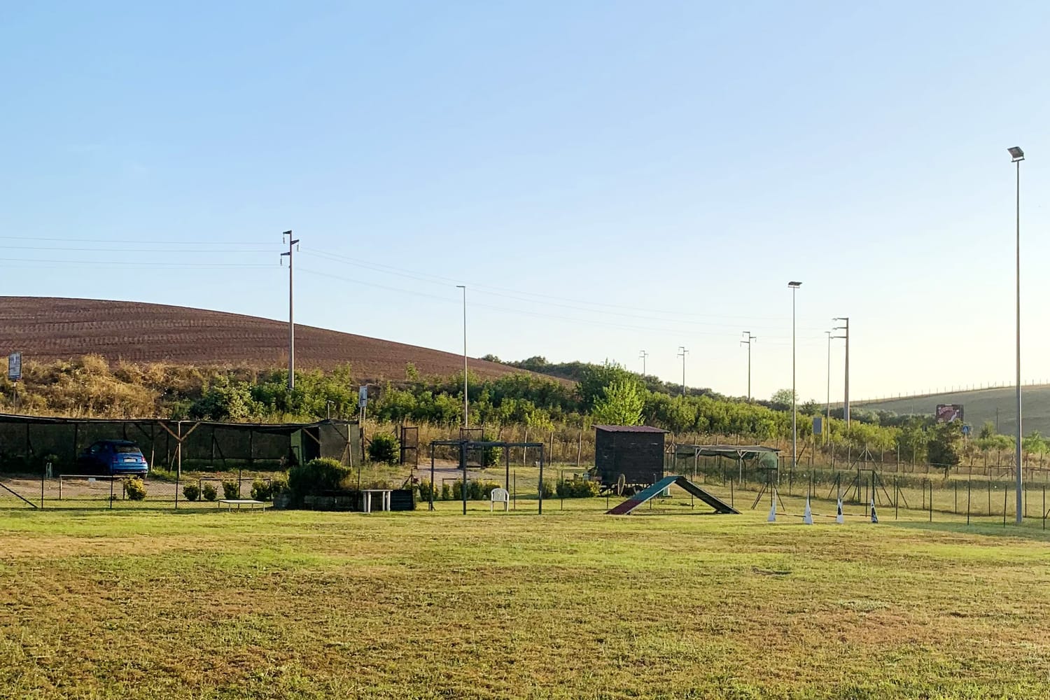 La struttura di EssereCane