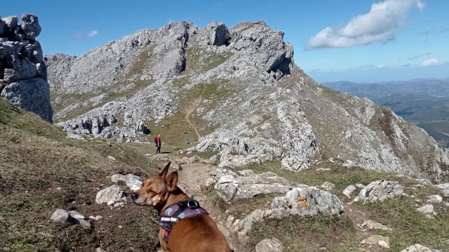 Sendero sin el cuál el camino es mucho más penoso