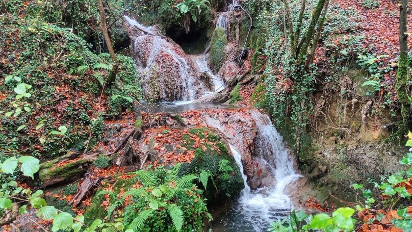 Agua de un riachuelo de montaña filtrándose de forma natural entre rocas y hojas, aportando claridad.