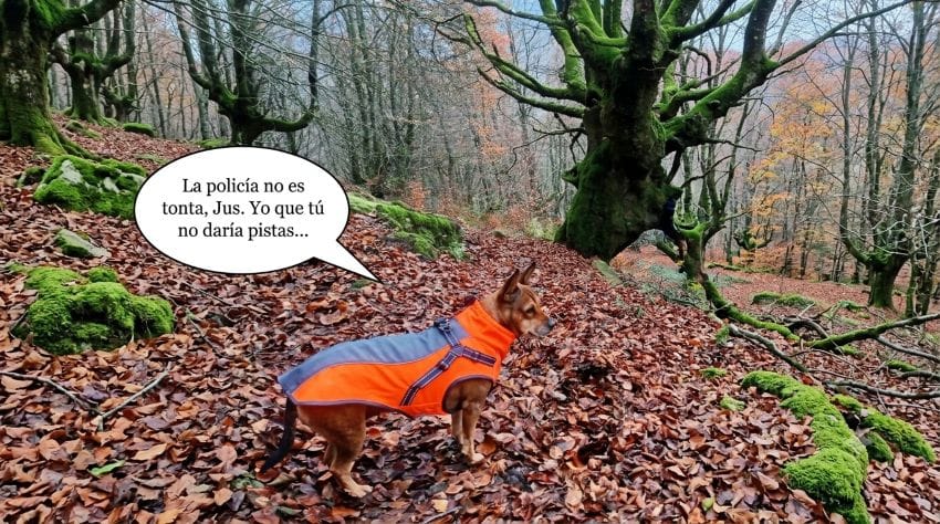 Mi perra Lua con un abrigo naranja en un bosque de montaña, junto a un bocadillo de texto humorístico que dice: La policía no es tonta, Jus. Yo que tú no daría pistas.