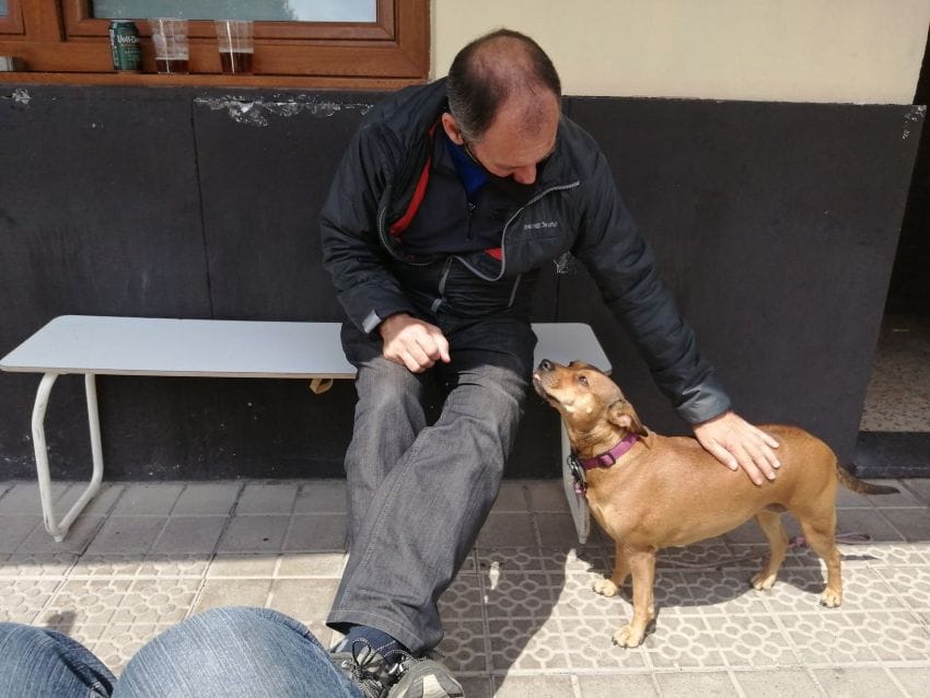 Foto de autor con su perra Lua descansando en un banco, representando la pausa ante el piloto automático y el desgaste.
