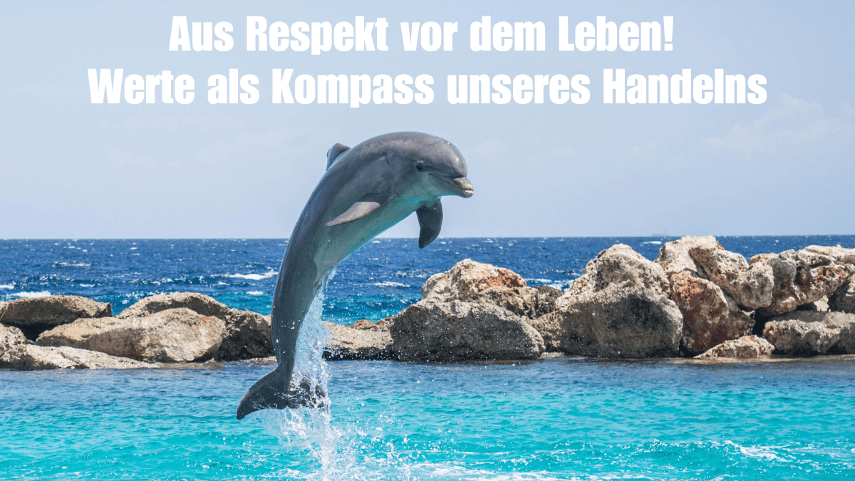 Aus Respekt vor dem Leben! Werte als Kompass unseres Handelns