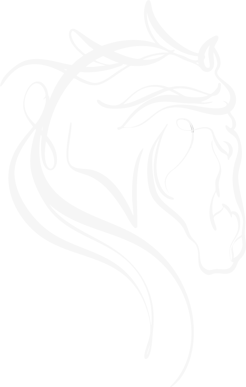 Stylized horse head line art symbol in off-white, representing Spirited Hooves’ calm and confident equine-guided programs for teens