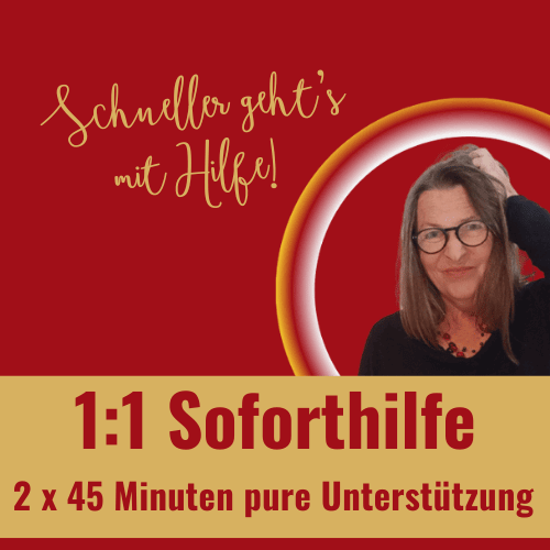 1:1 Soforthilfe zu Systemeio - passgenaue Unterstützung