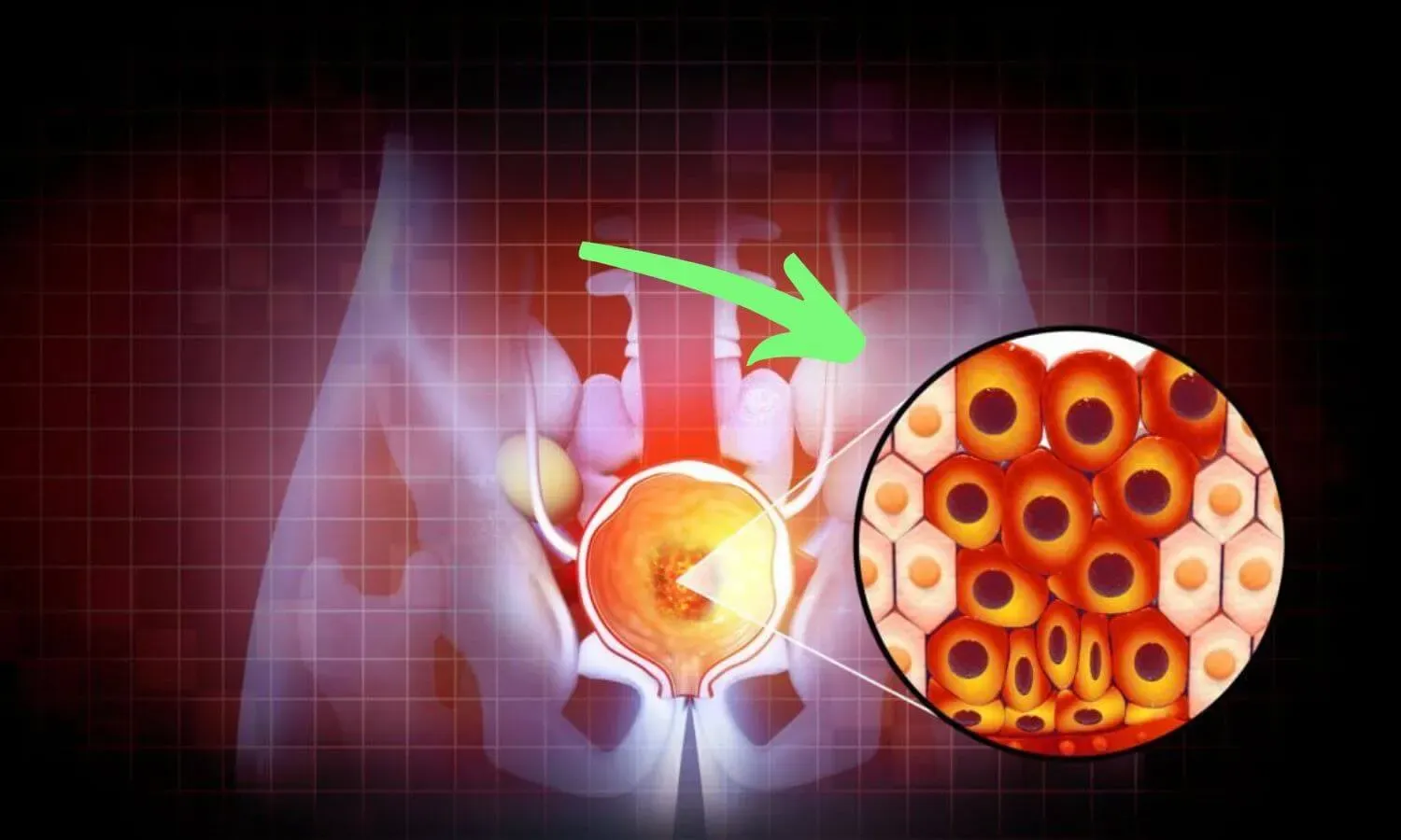 Free Men's Health Presentation