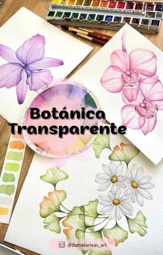 boton-workshop-botanica-transparente