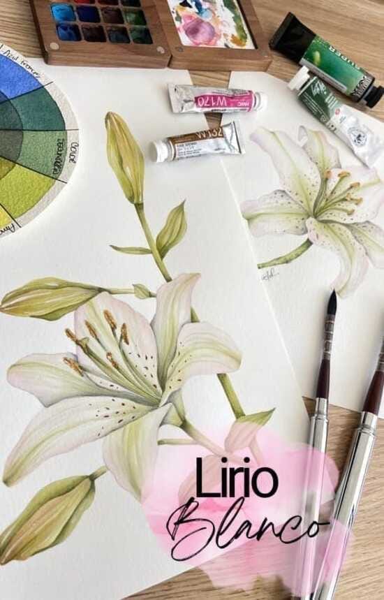 boton-workshop-lirio-blanco