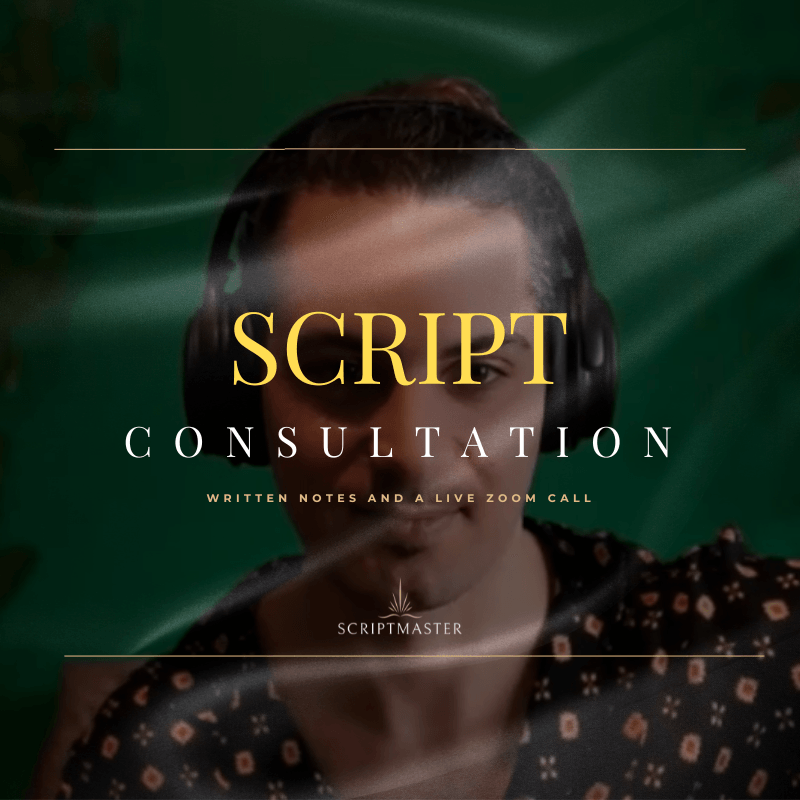 TV Pilot: Script Consultation