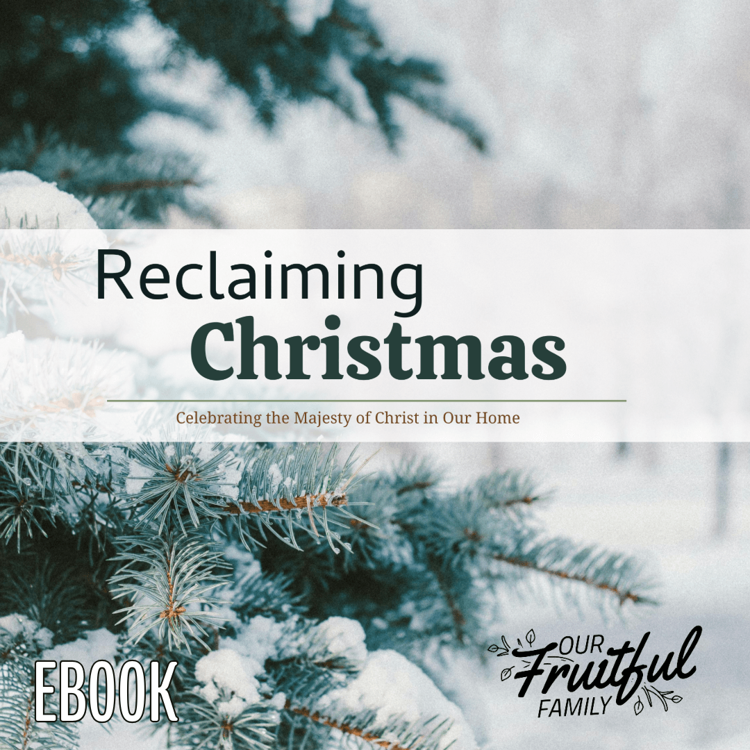 Reclaiming Christmas E-Book