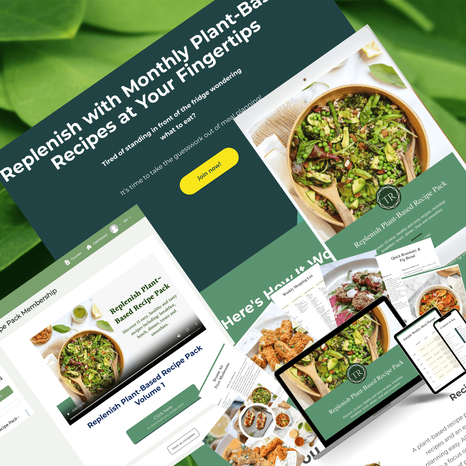 Anuvo Digital Portfolio