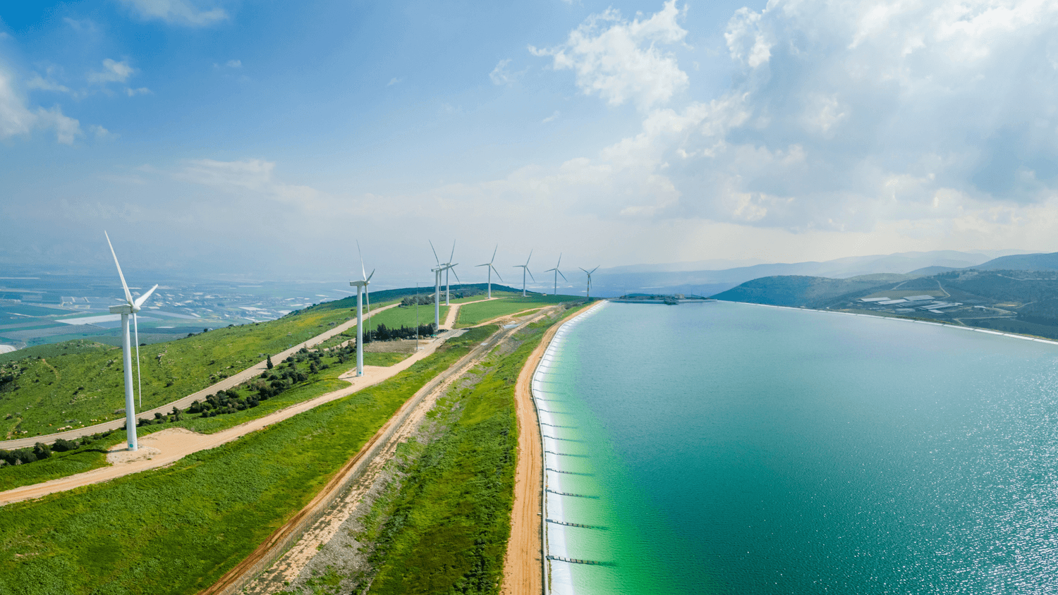 Éoliennes en mer entourées de forêt, énergies renouvelables