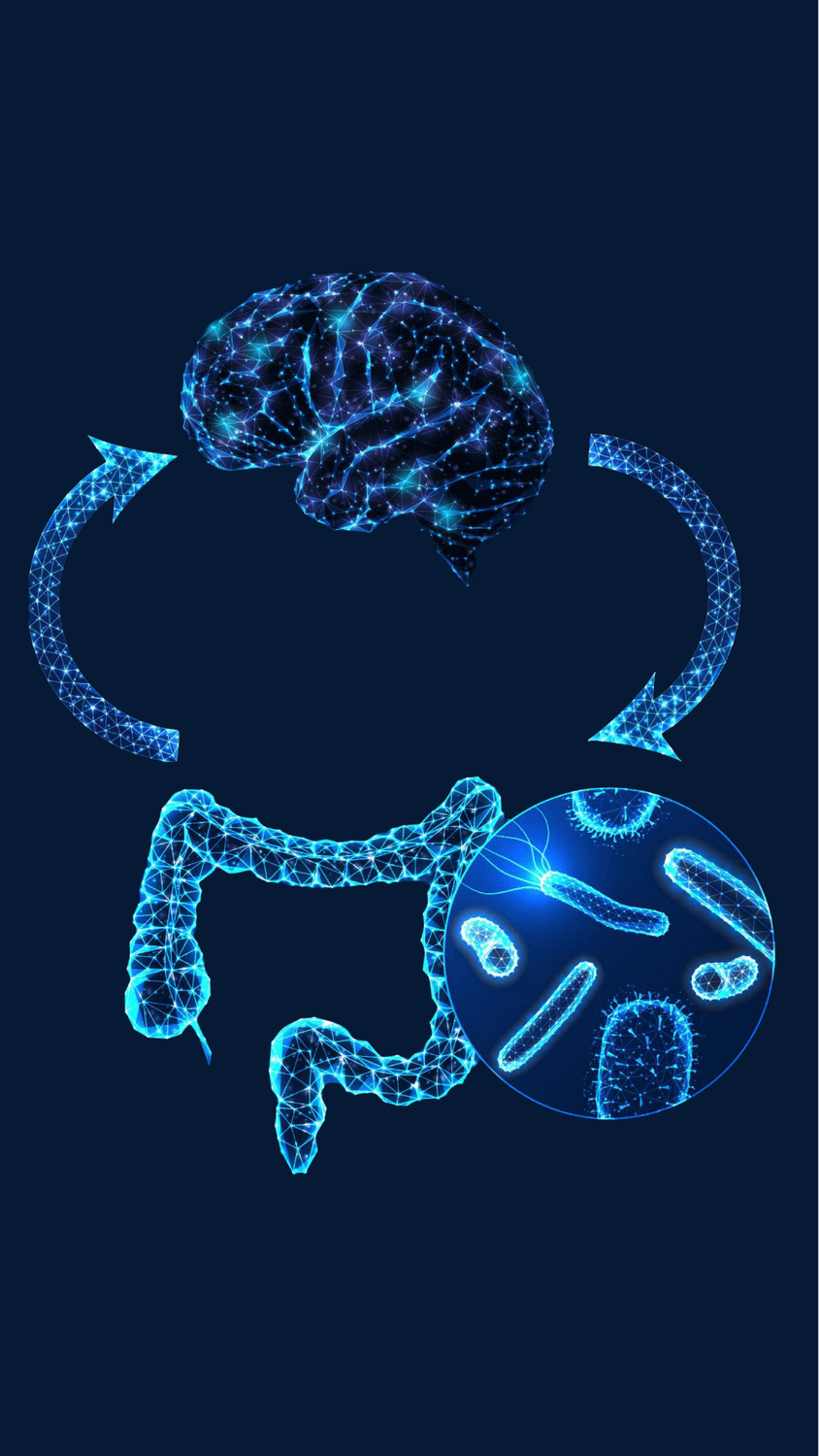 Havainnekuva aivojen ja suoliston välisestä yhteydestä: digitaalinen aivo ja suolisto yhdistetty nuolilla, korostaen suoli–aivo-akselin kaksisuuntaista vaikutusta.