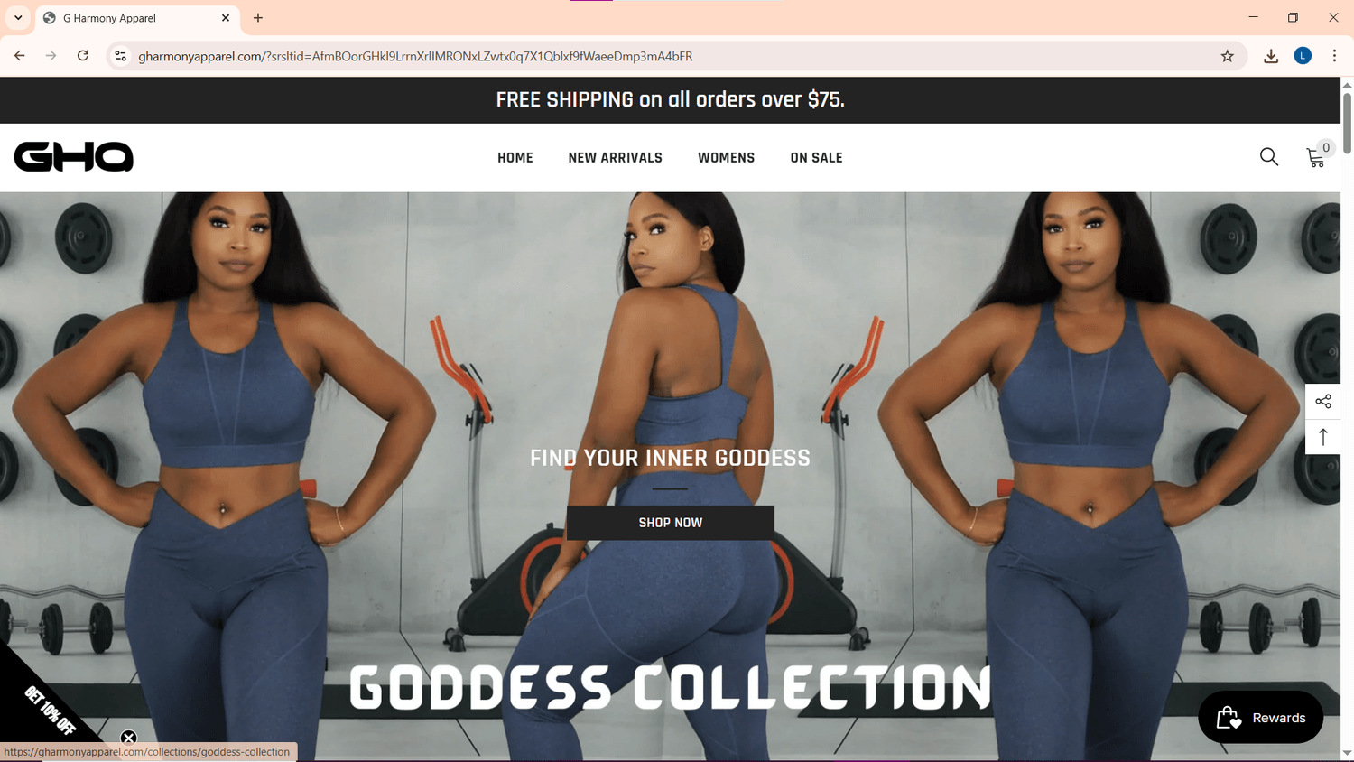 Website Design
