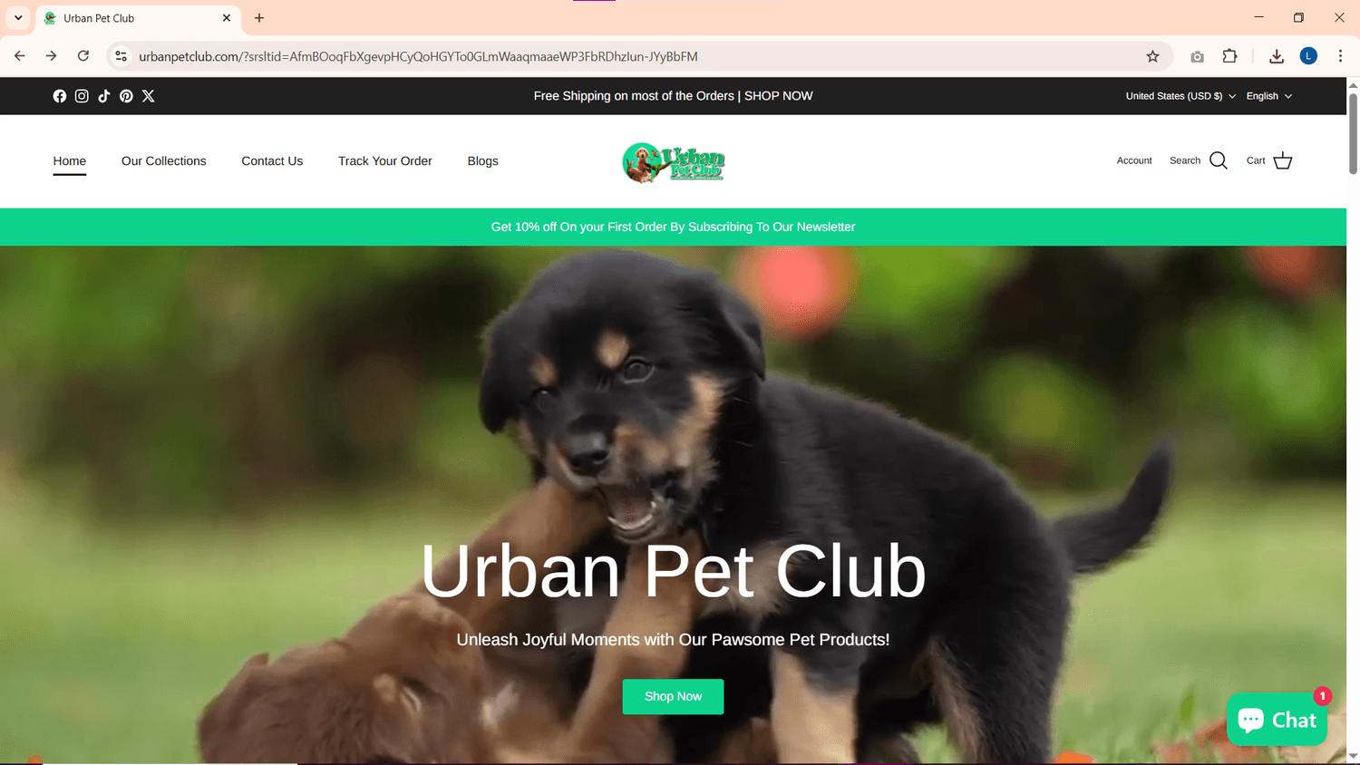 Website Design