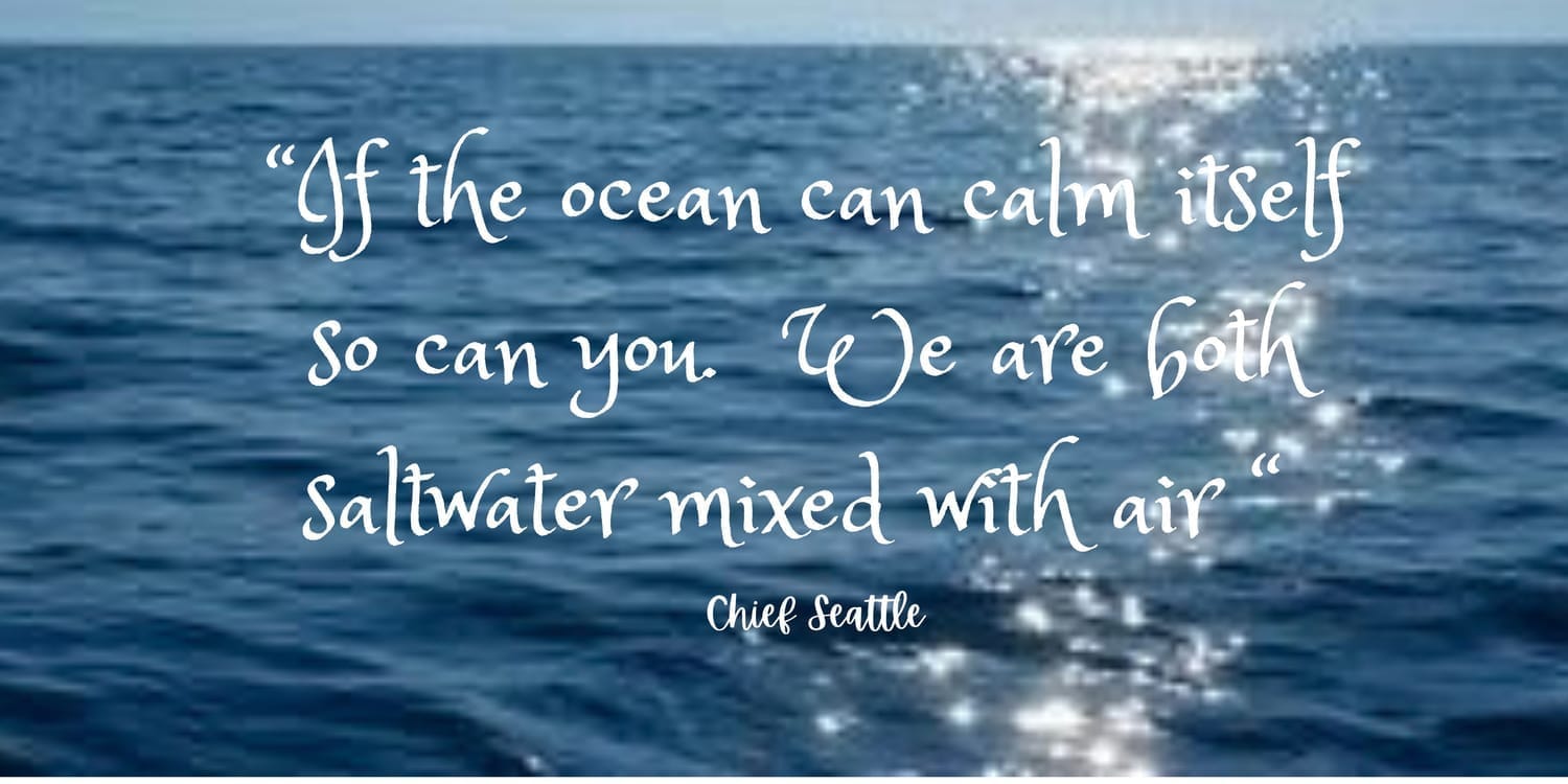 "If the ocean can calm itself, so can you. We are both saltwater mixed with air". Chief Seattle