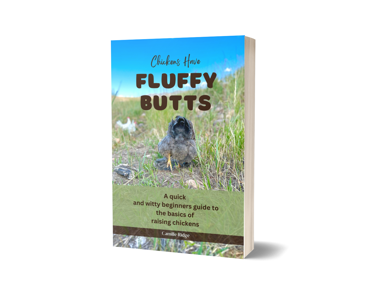 Chickens Have Fluffy Butts