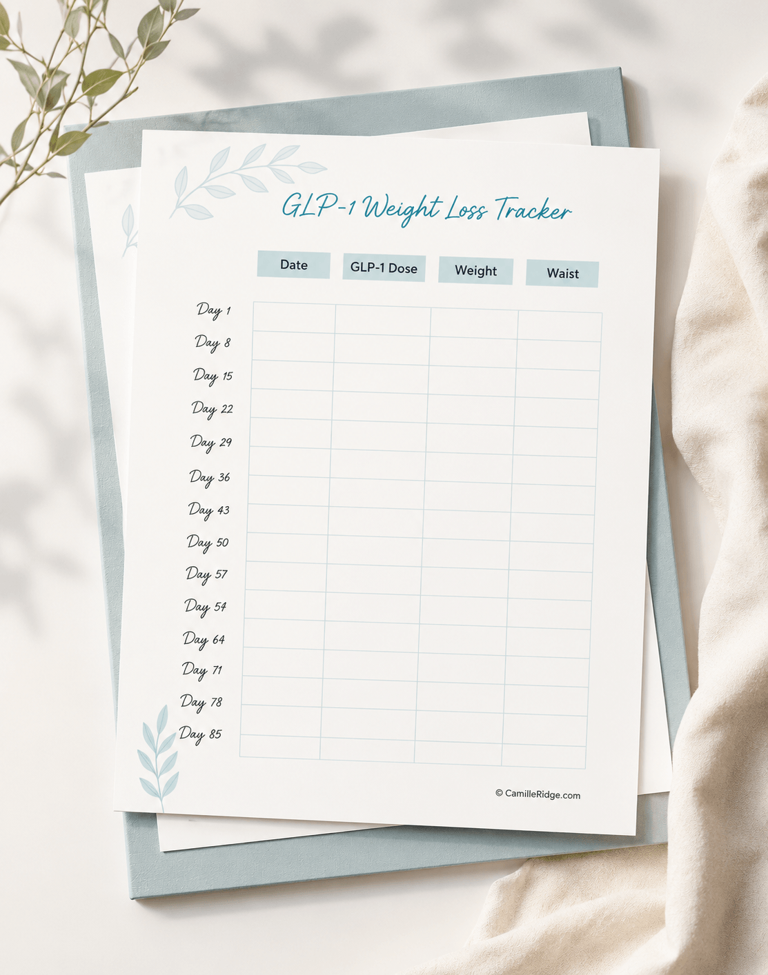 Image with a dark teal background showcasing a GLP-1 tracking sheet in the center.