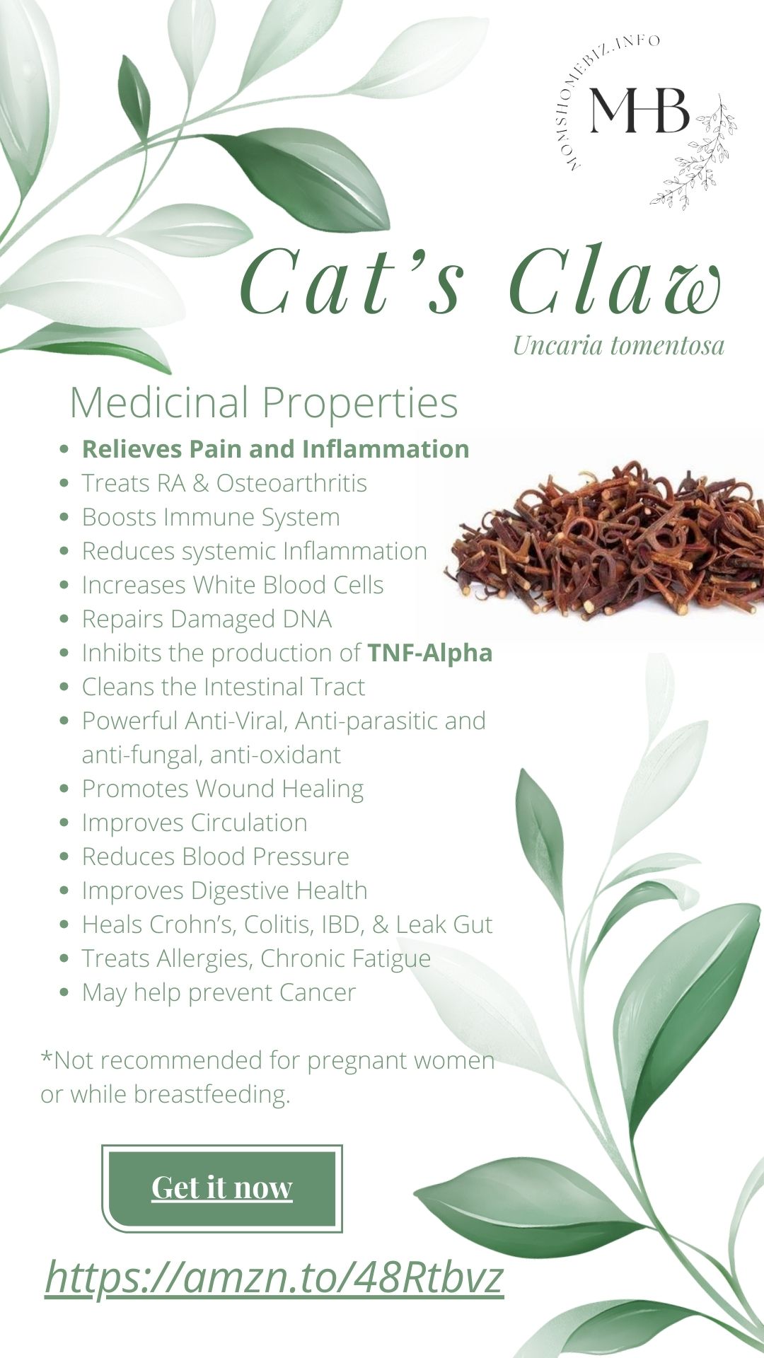cat's claw image