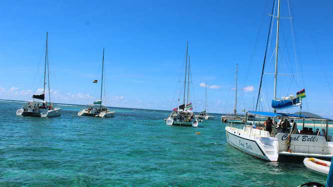 Catamaran Joy