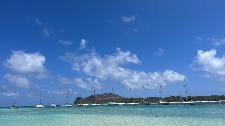 Catamarans at sea