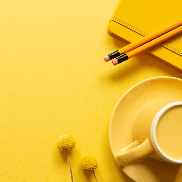 Votre guide Google my Business offert