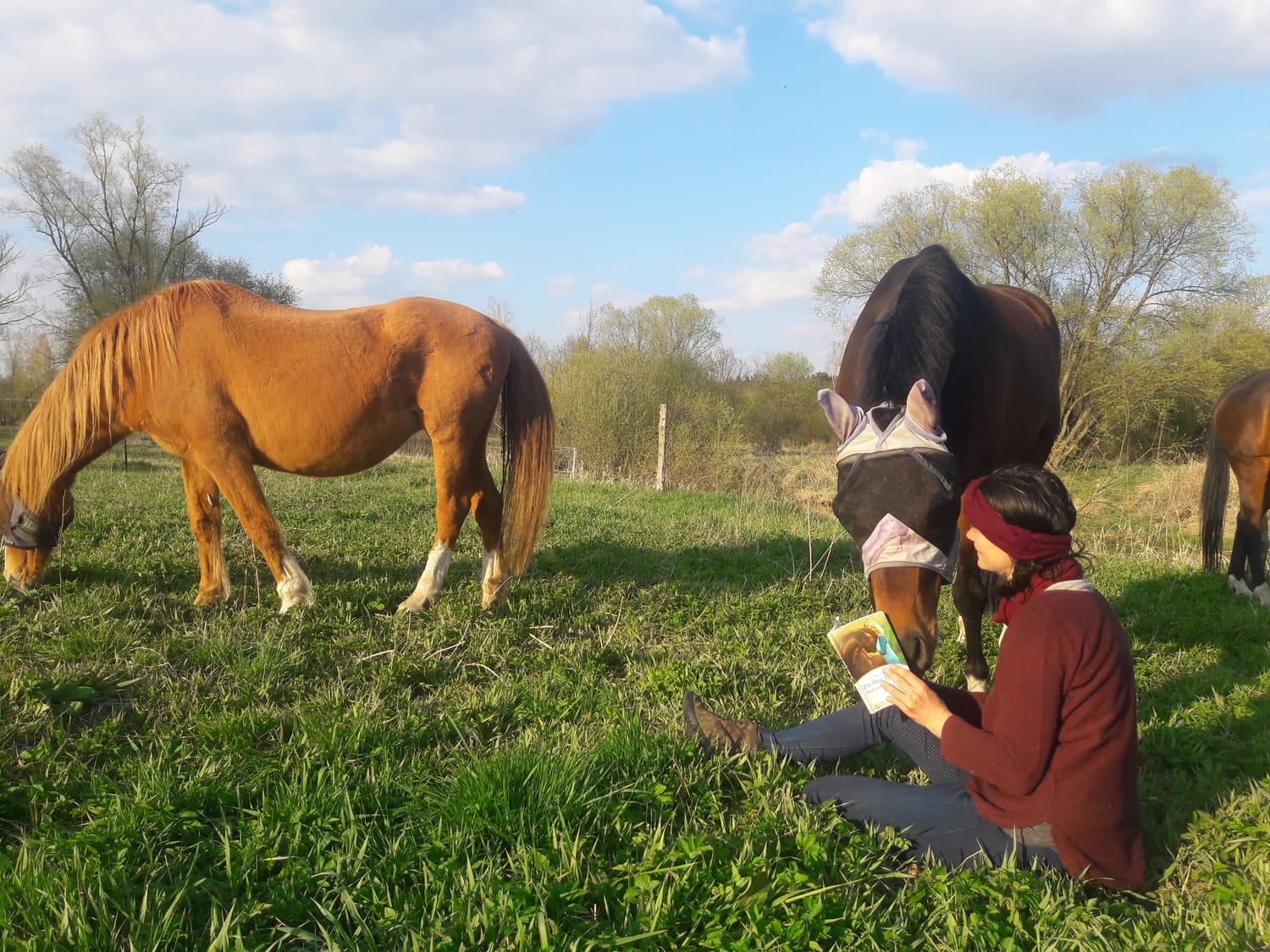 Produkt Mockup @Canva