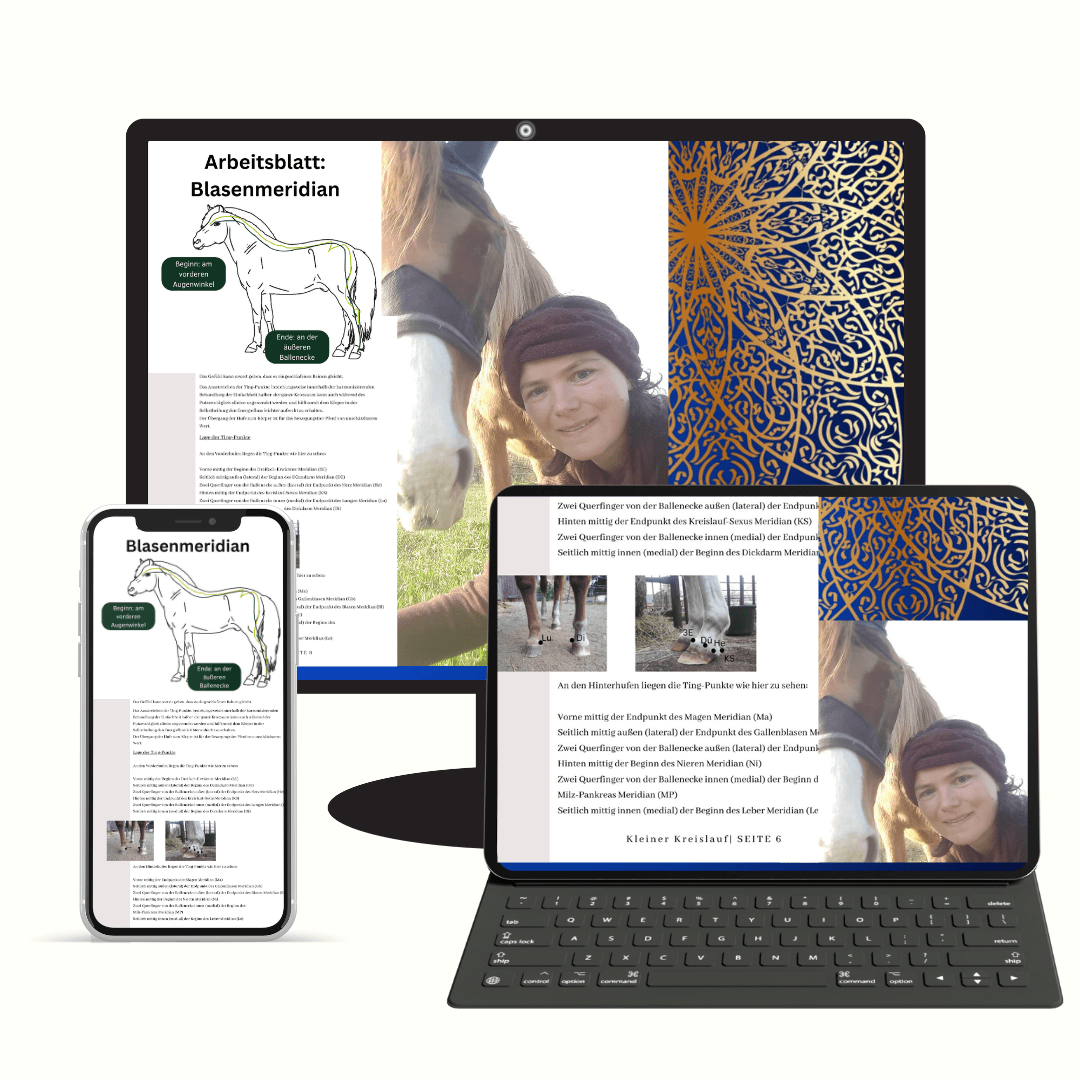 Produkt Mockup @Canva