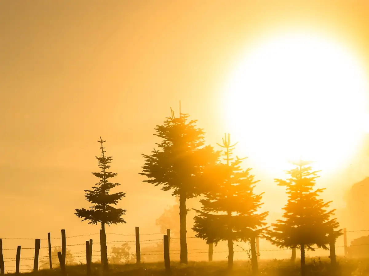 goldene Stunde - Daemmerung