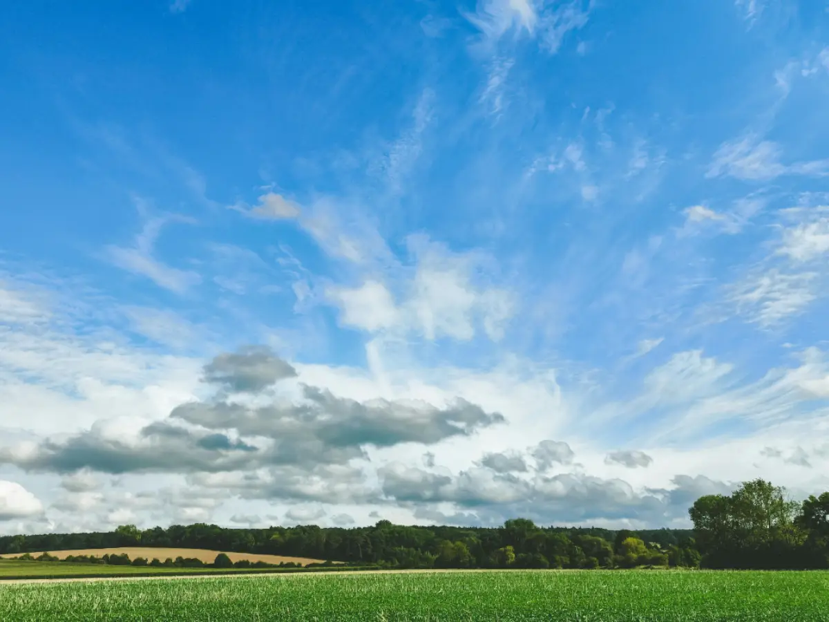 Licht am spaetem Vormittags-/ fruehem Nachmittag